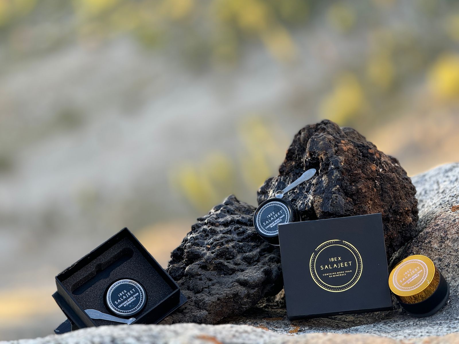 What is Shilajit Used For?